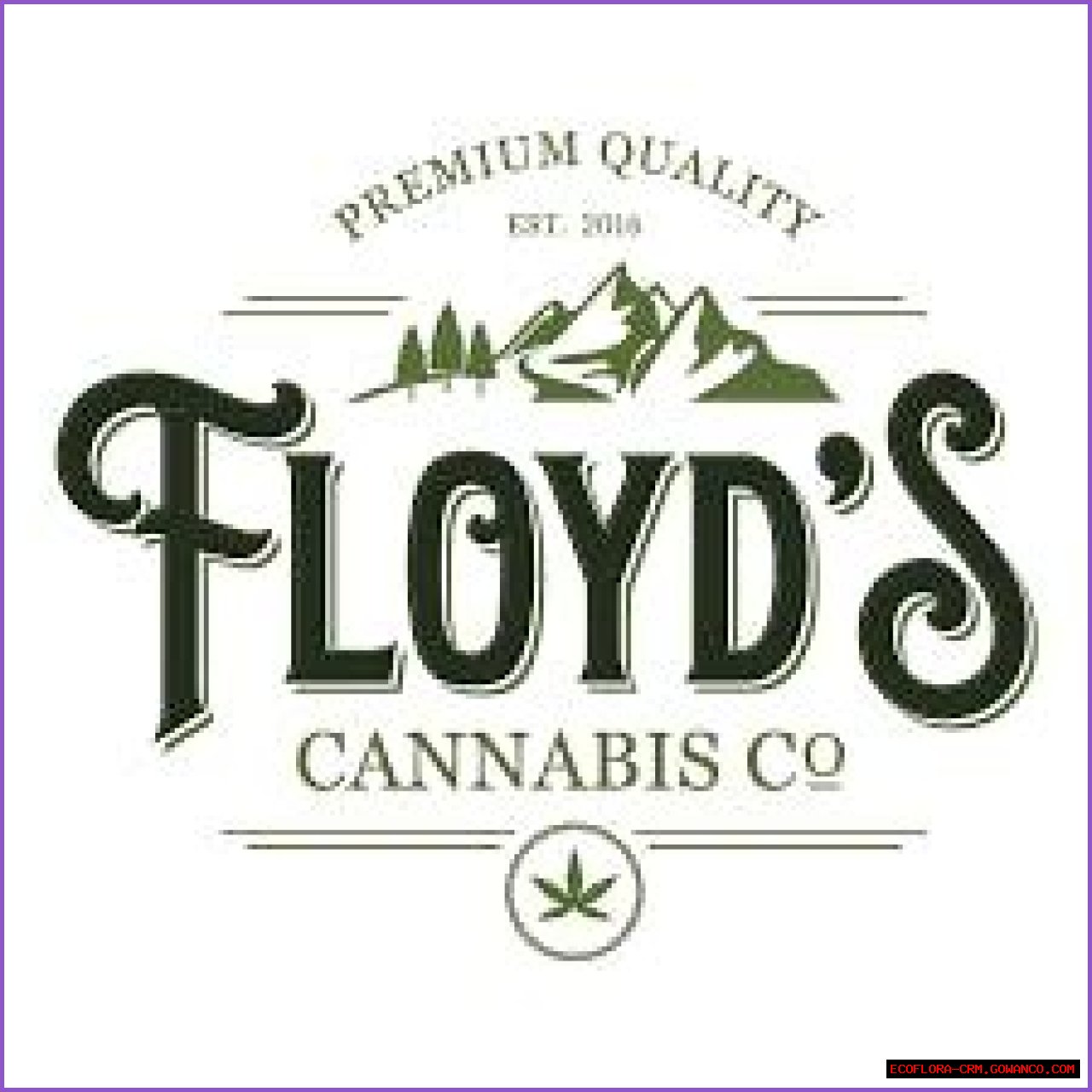 Floyd's Mt Vernon: Your Gateway To Authentic American Cuisine