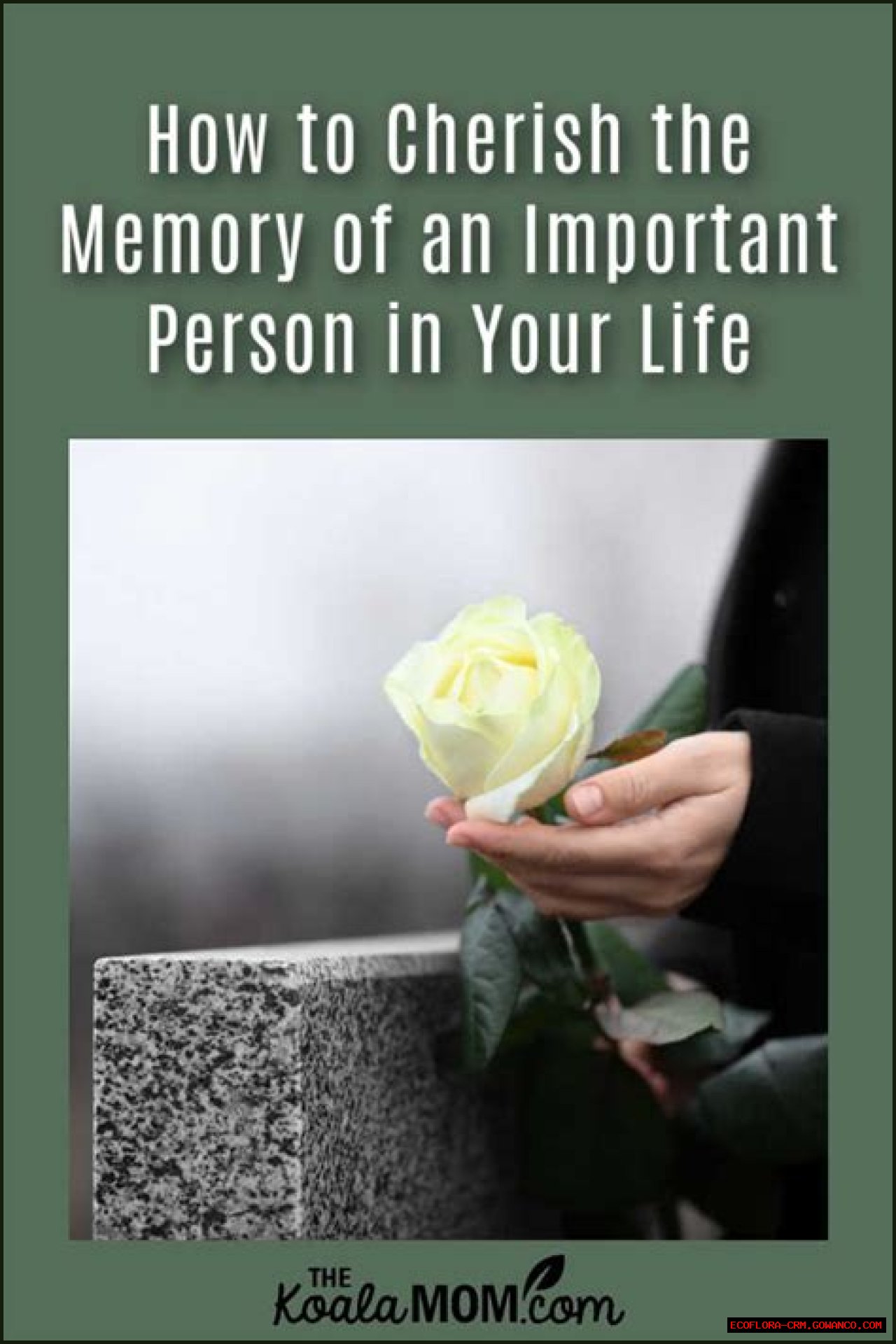 Remembering John Kent: A Cherished Life Remembered